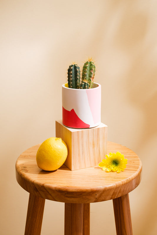 PLANTPOT - Maceta