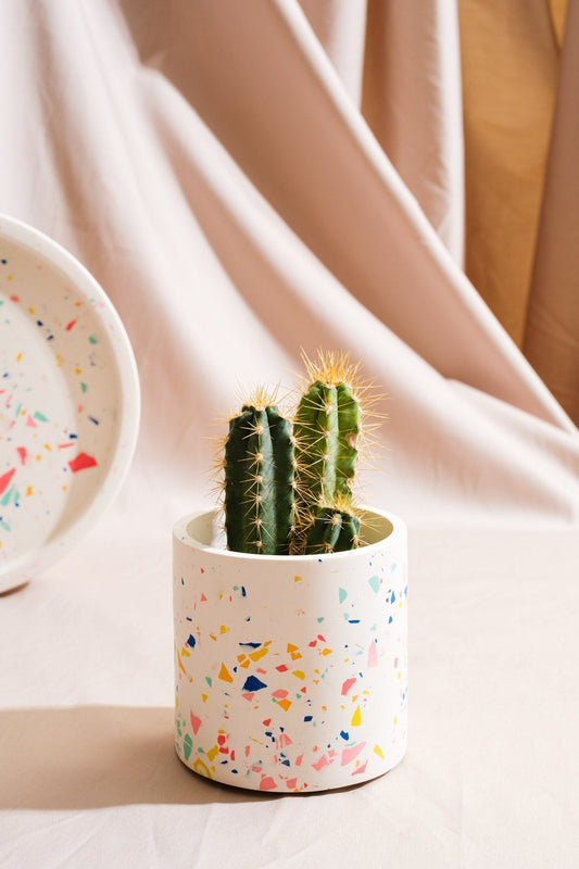 CURSO DE TERRAZO -  28 Febrero